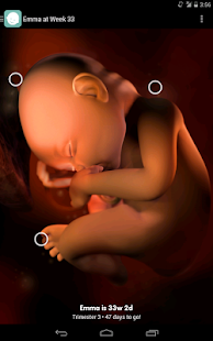 Sprout Pregnancy Screenshot
